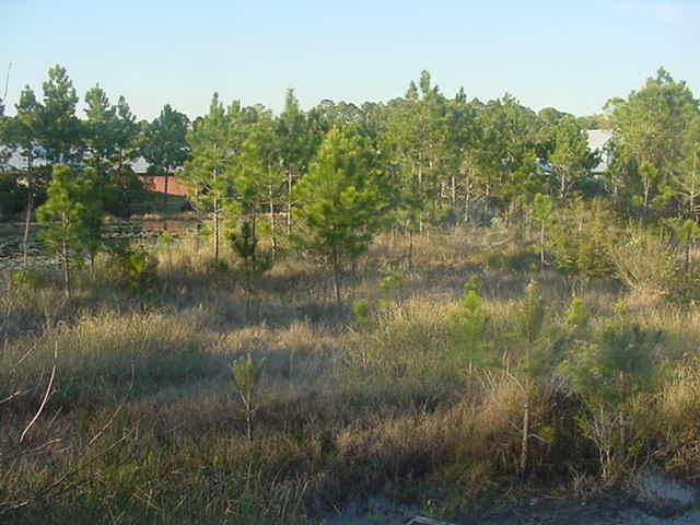 47 Bald Eagle Court Santa Rosa Beach, FL 32459 - Photo 17 of 26 a view of a lake view