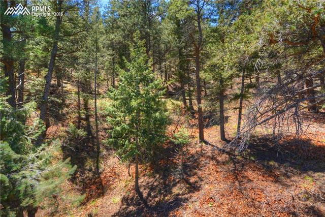 1160 Scrub Oak Road Manitou Springs, CO 80829 - Photo 22 of 22 Gallery Image 22