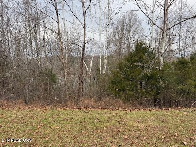 152 Pineberry East Road Oak Ridge, TN 37830 - Photo 2 of 24 a backyard of a house with lots of green space