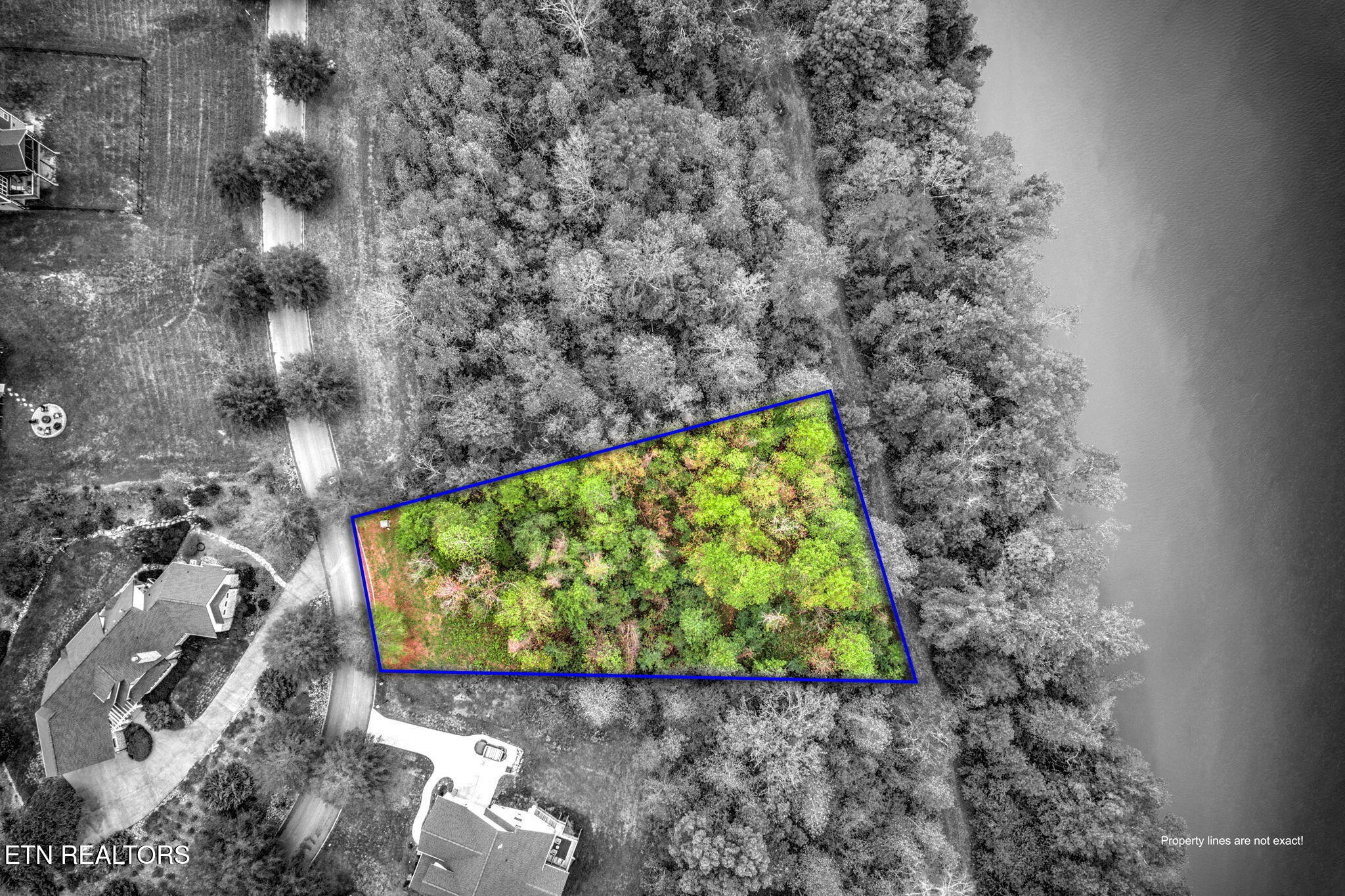 152 Pineberry East Road Oak Ridge, TN 37830 - Photo 5 of 24 a view of a garden with plants