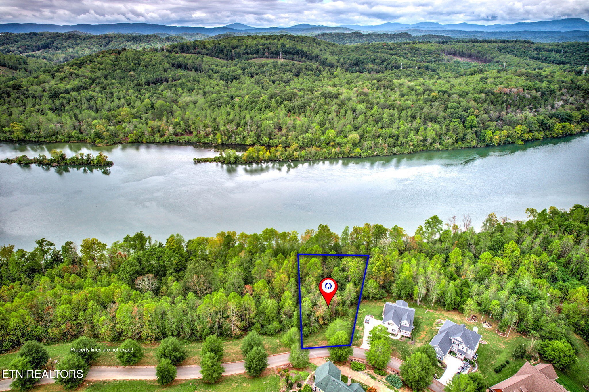 152 Pineberry East Road Oak Ridge, TN 37830 - Photo 7 of 24 a view of a bunch of flowers and trees