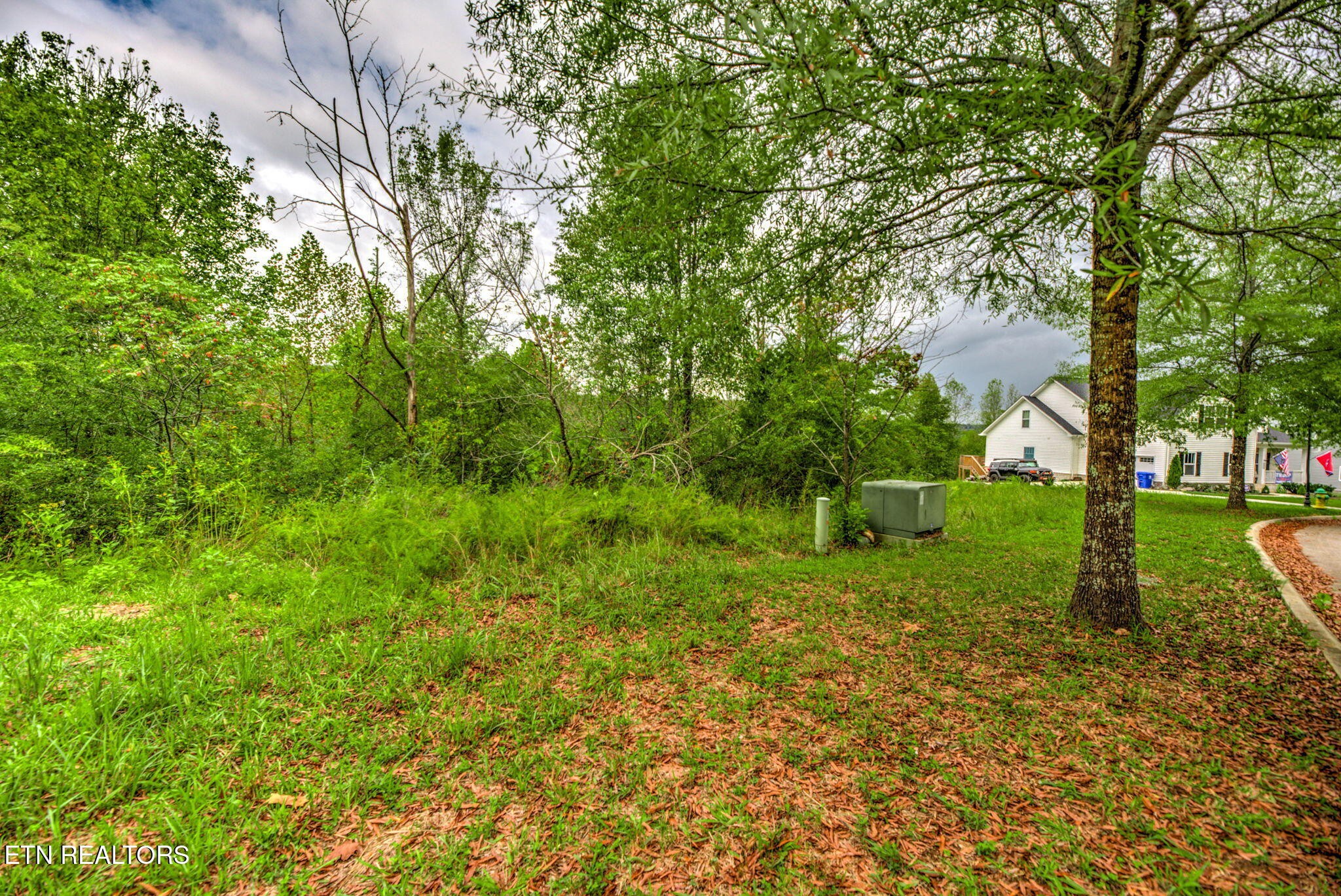 152 Pineberry East Road Oak Ridge, TN 37830 - Photo 9 of 24 a view of a backyard with large trees