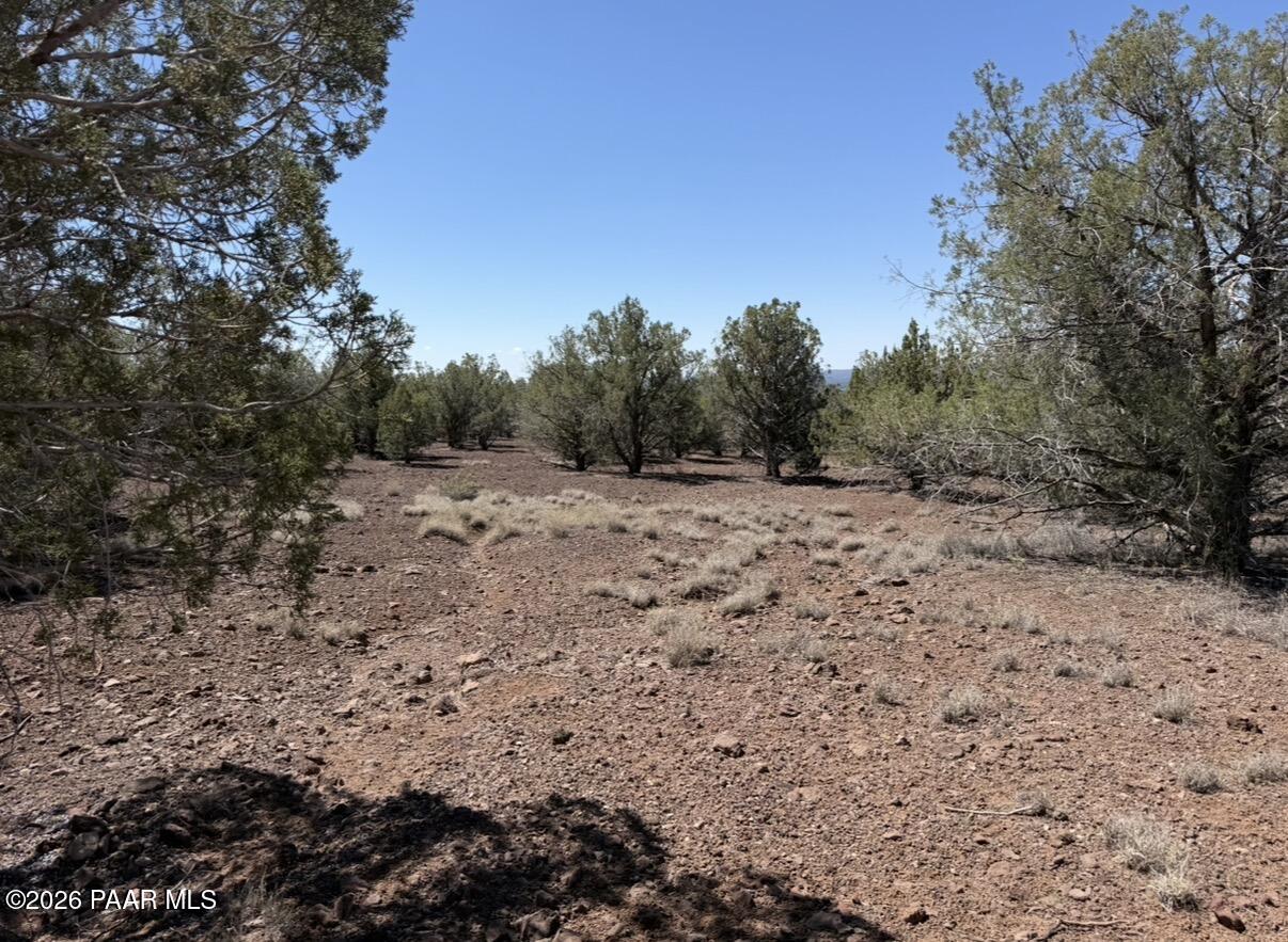 2450 Roberts Road Ash Fork, AZ 86320 - Photo 10 of 12 IMG_2651