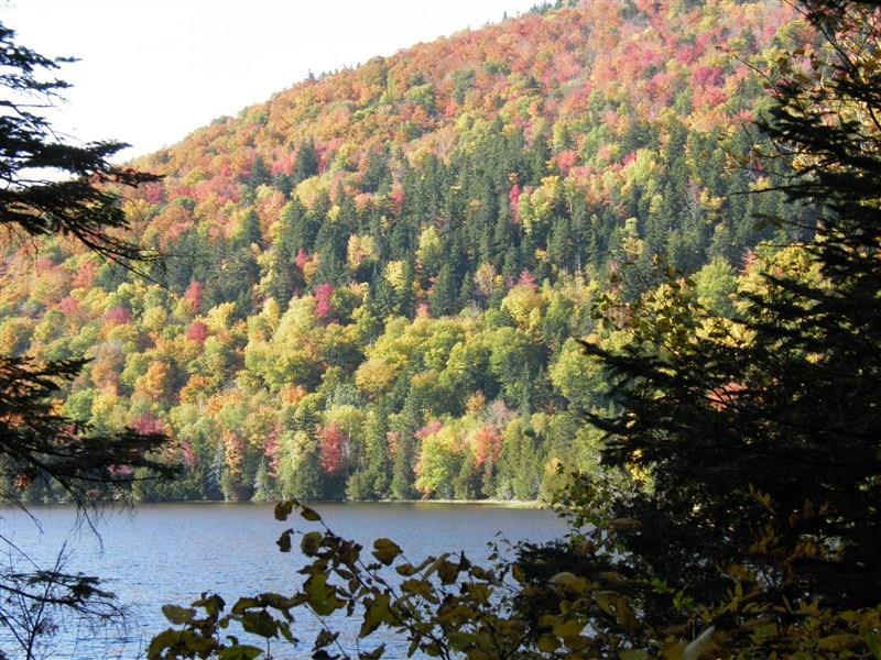 429 Main Street Farmington, ME 04938 - Photo 14 of 20 Beautiful fall colors created by a...