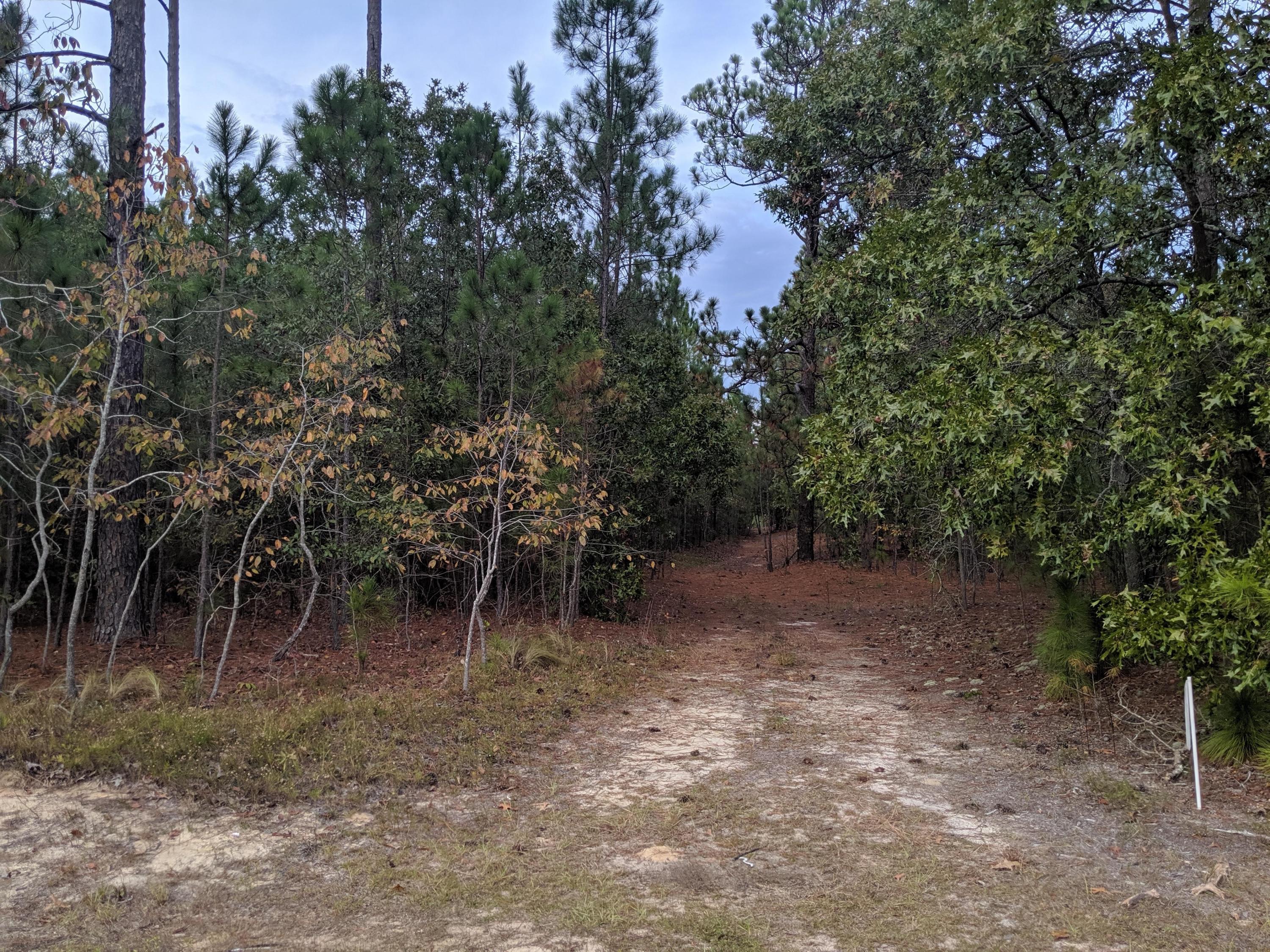 210 Thunder Road Pinebluff, NC 28373 - Photo 2 of 5 5.05 acres