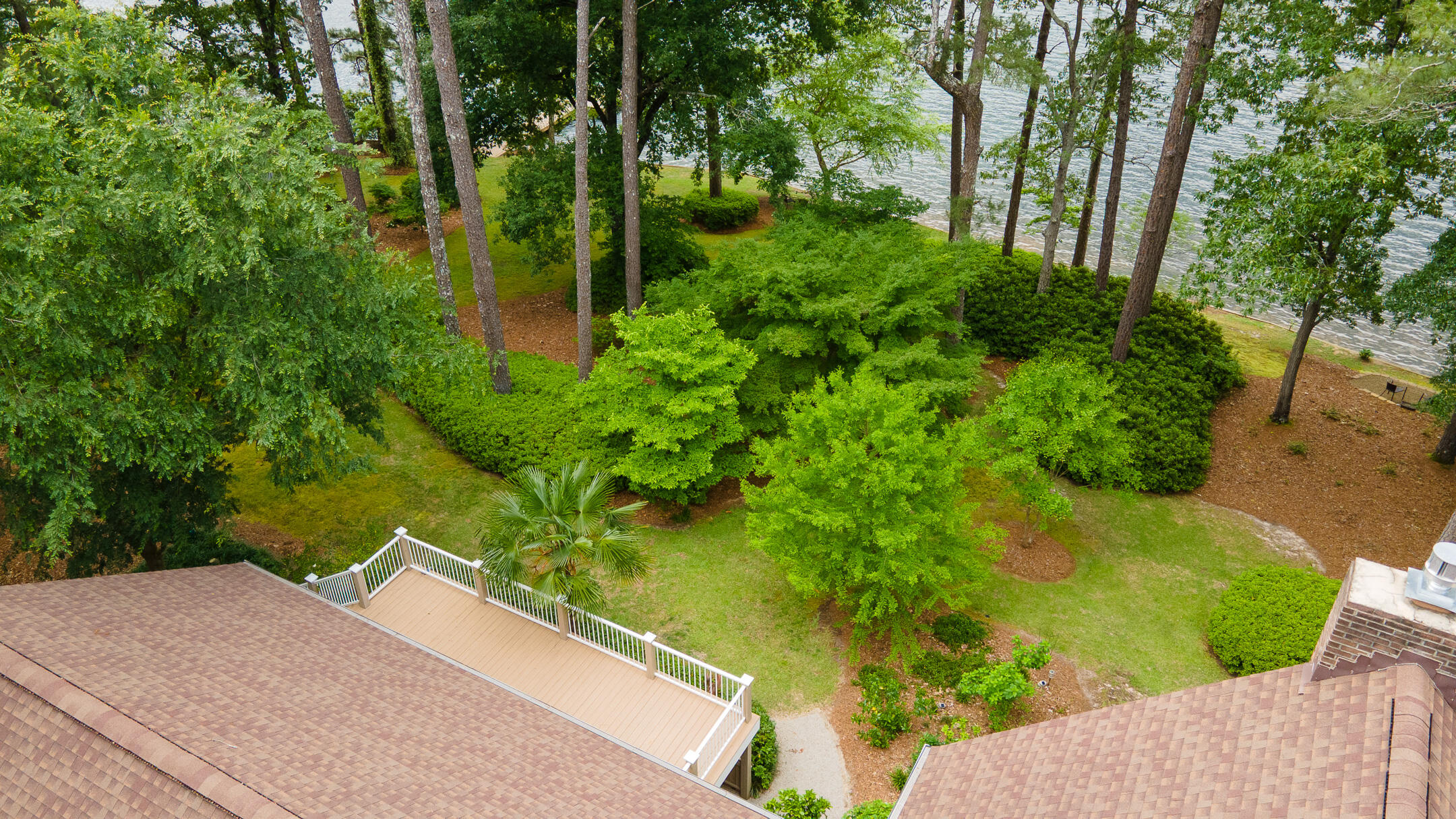 1049 Edisto Lake Road Wagener, SC 29164 - Photo 36 of 96