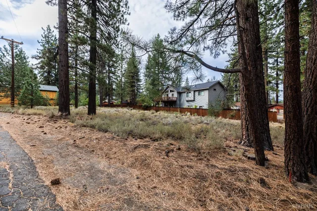a backyard of a house with lots of green space and trees