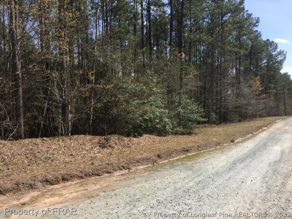 Pickar Road Sanford, NC 27330 - Photo 3 of 6 Gallery Image 3