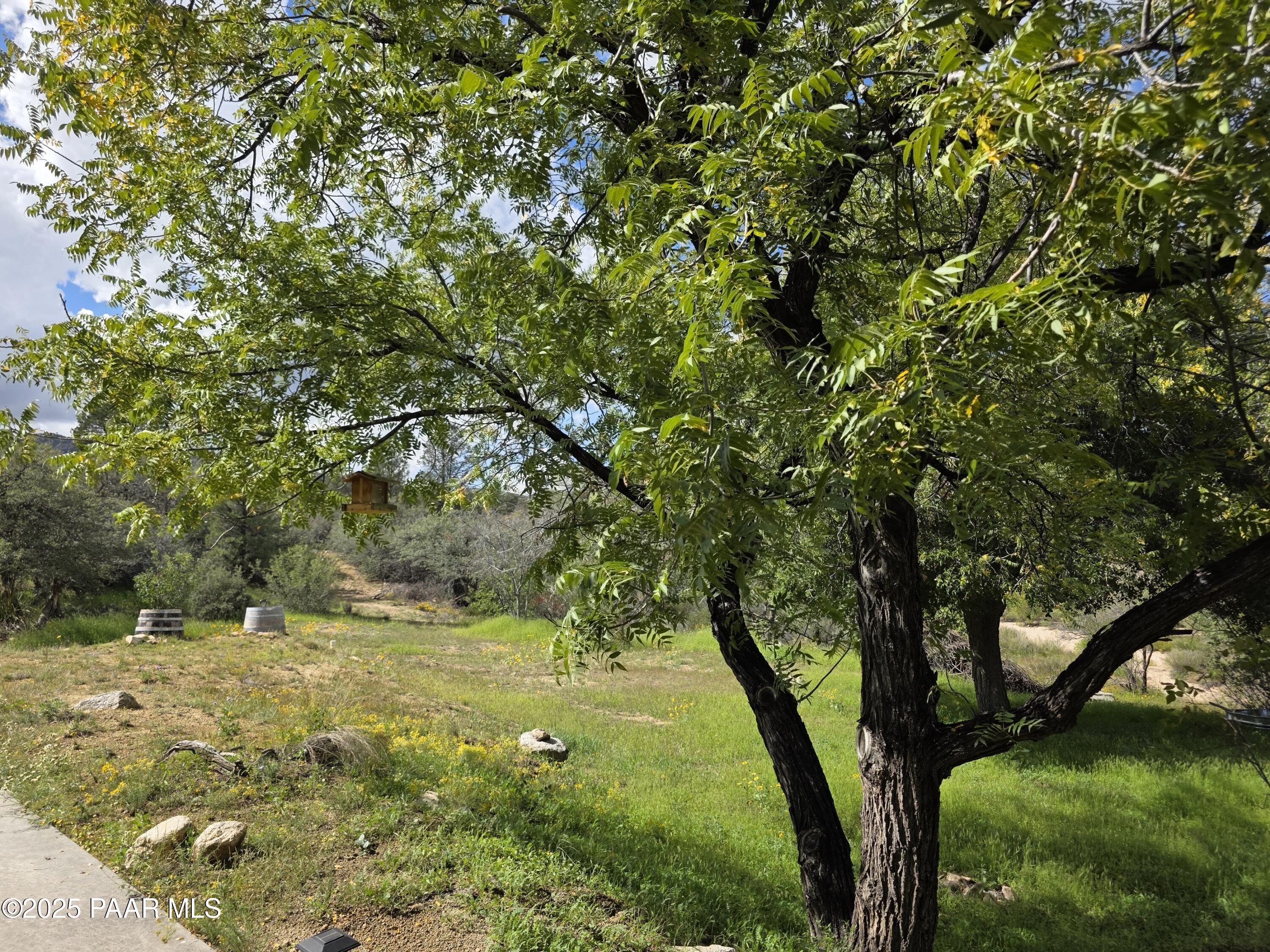 17180 West Model Creek Road Kirkland, AZ 86332 - Photo 34 of 53 a view of yard with large trees