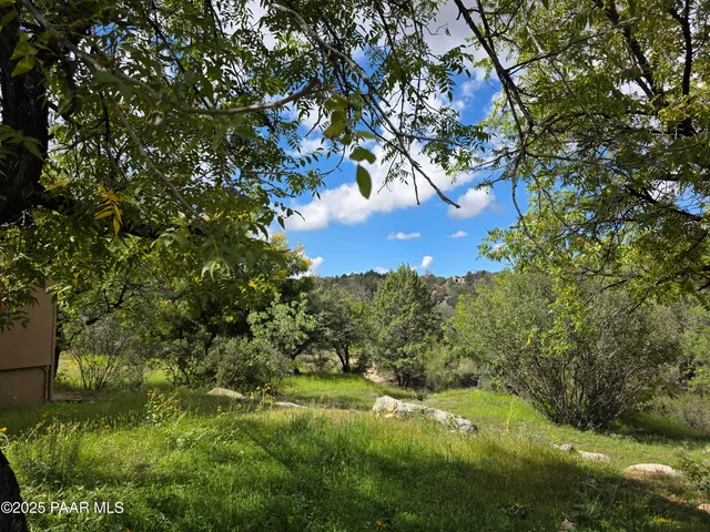 a view of backyard of house with green space