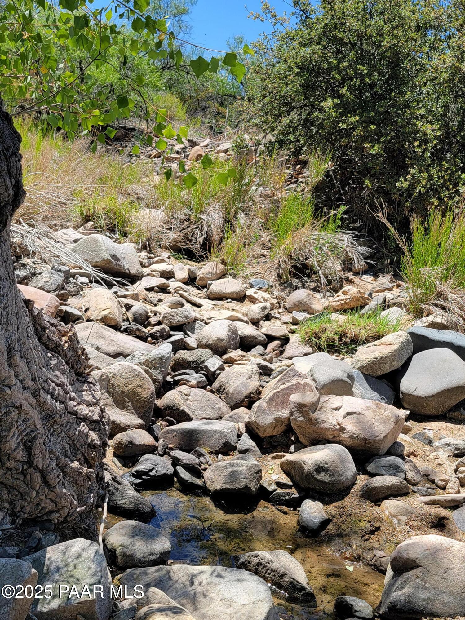 17180 West Model Creek Road Kirkland, AZ 86332 - Photo 39 of 53 a view of a bunch of trees and flowers