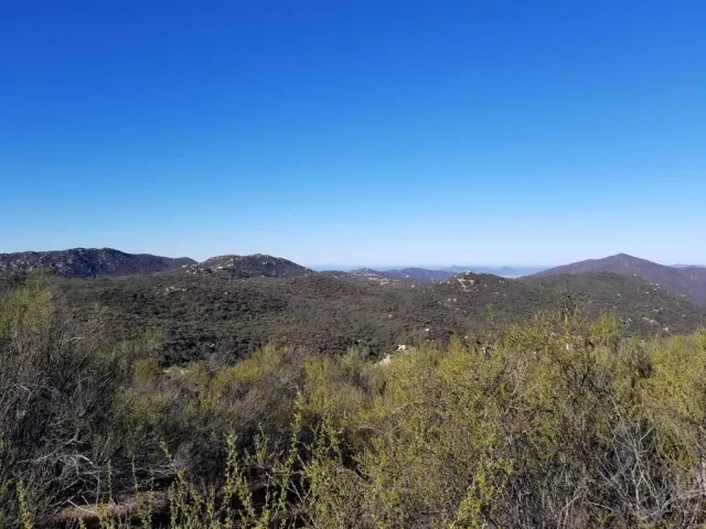 a view of a mountain range with lush green forest