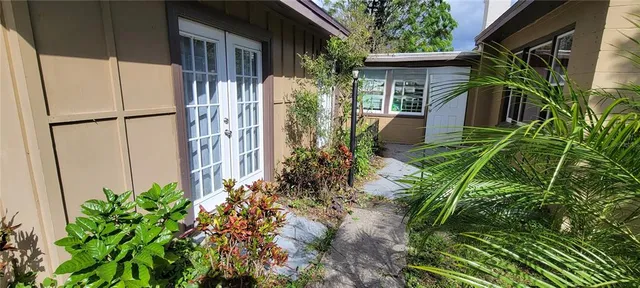 a view of a backyard with plants