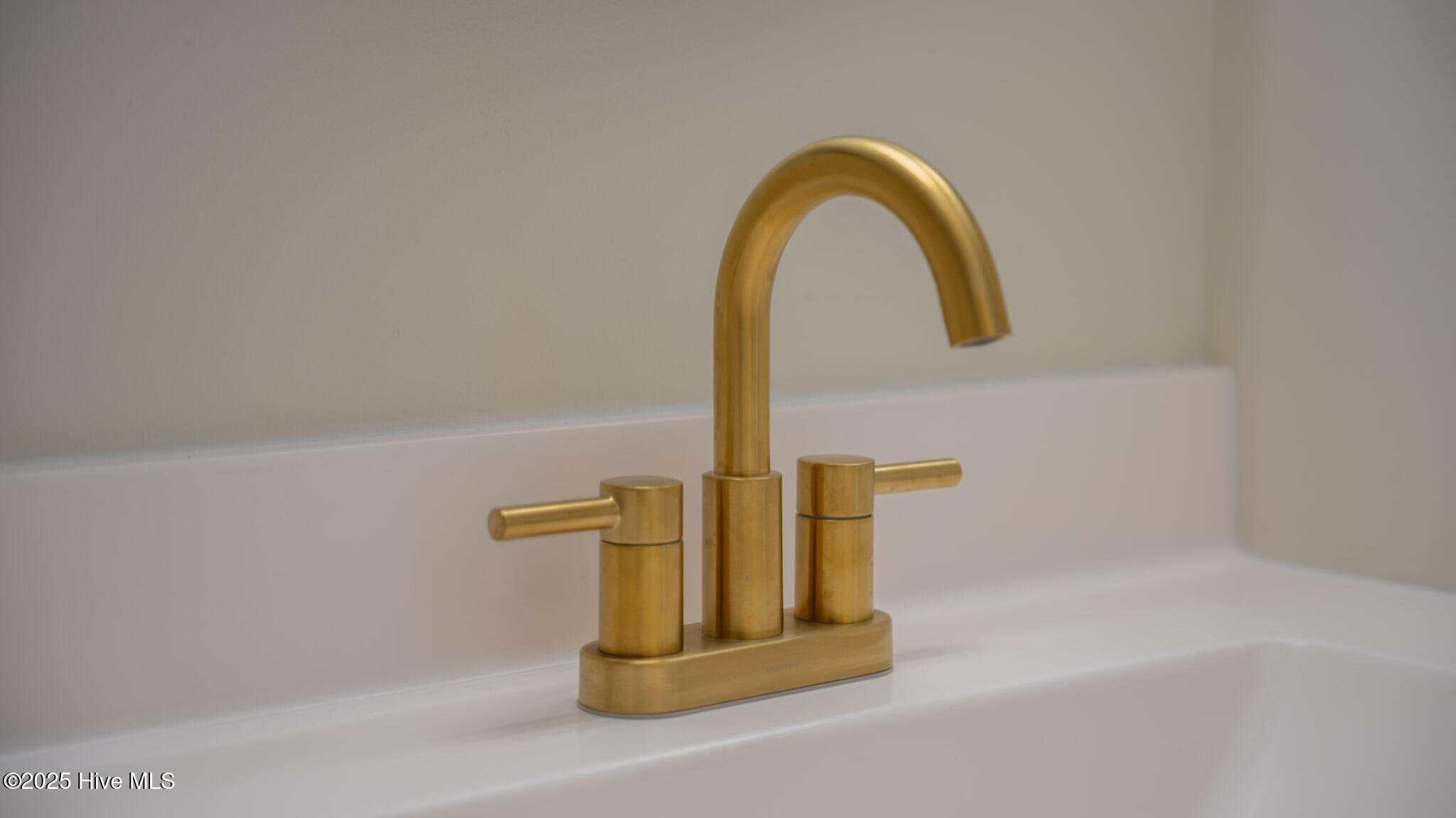 4459 Holly Tree Road Wilmington, NC 28412 - Photo 19 of 32 Polished Brass