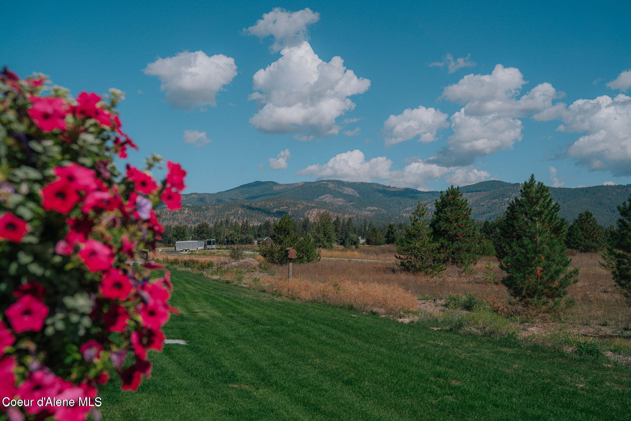290 Par Loop Blanchard, ID 83804 - Photo 10 of 12 20240417205742186294000000-o