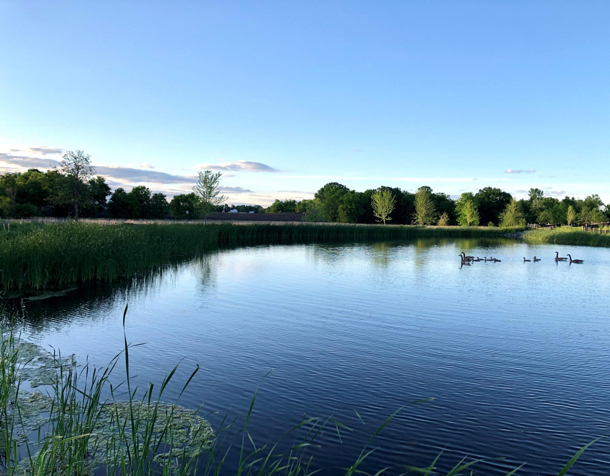 10991 23rd Street Northeast St. Michael, MN 55376 - Photo 56 of 57