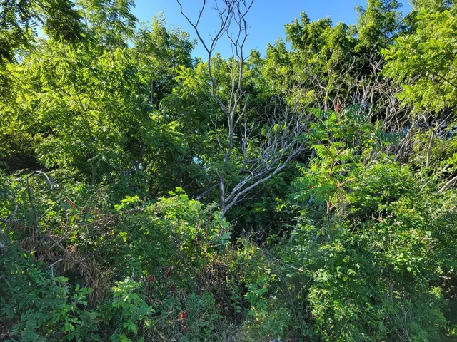 $230,000 | Lt1 Lt1 Cedar St Lake, Lake Geneva, WI 53147