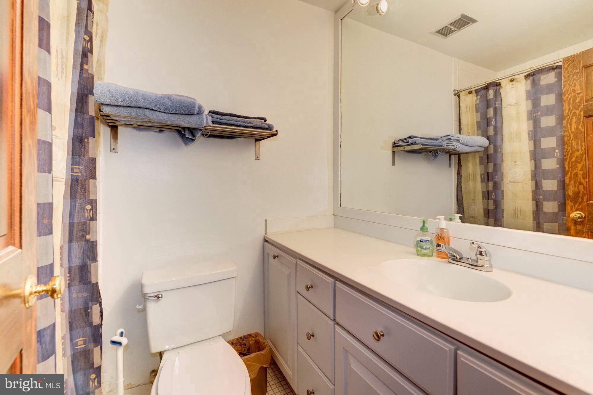 421 First Street Southeast Washington, DC 20003 - Photo 44 of 64 Large vanity sink