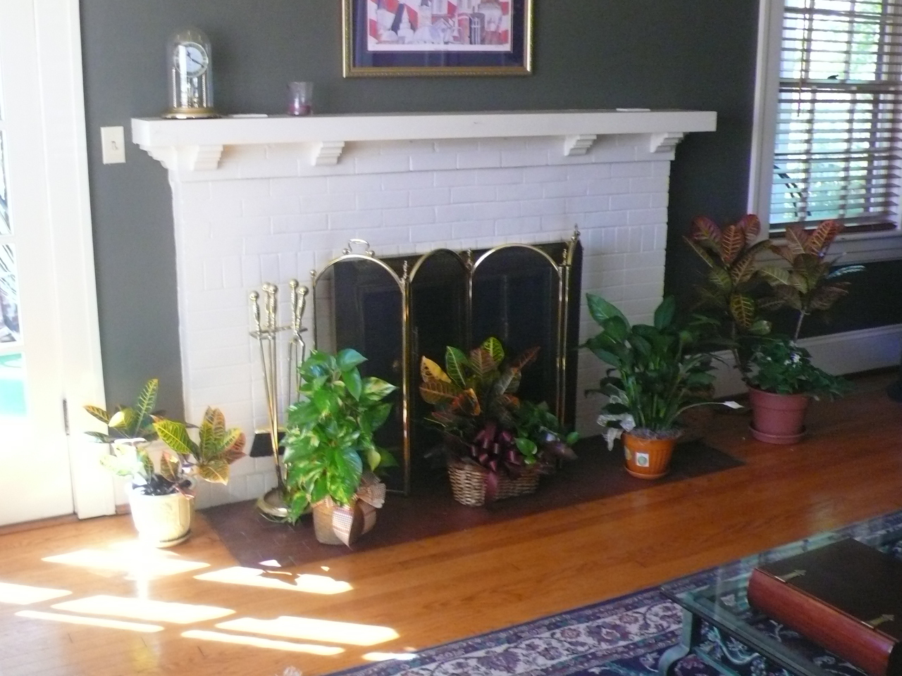 1887 Arlington Road Southwest Roanoke, VA 24015 - Photo 4 of 21 Fireplace in Living Room