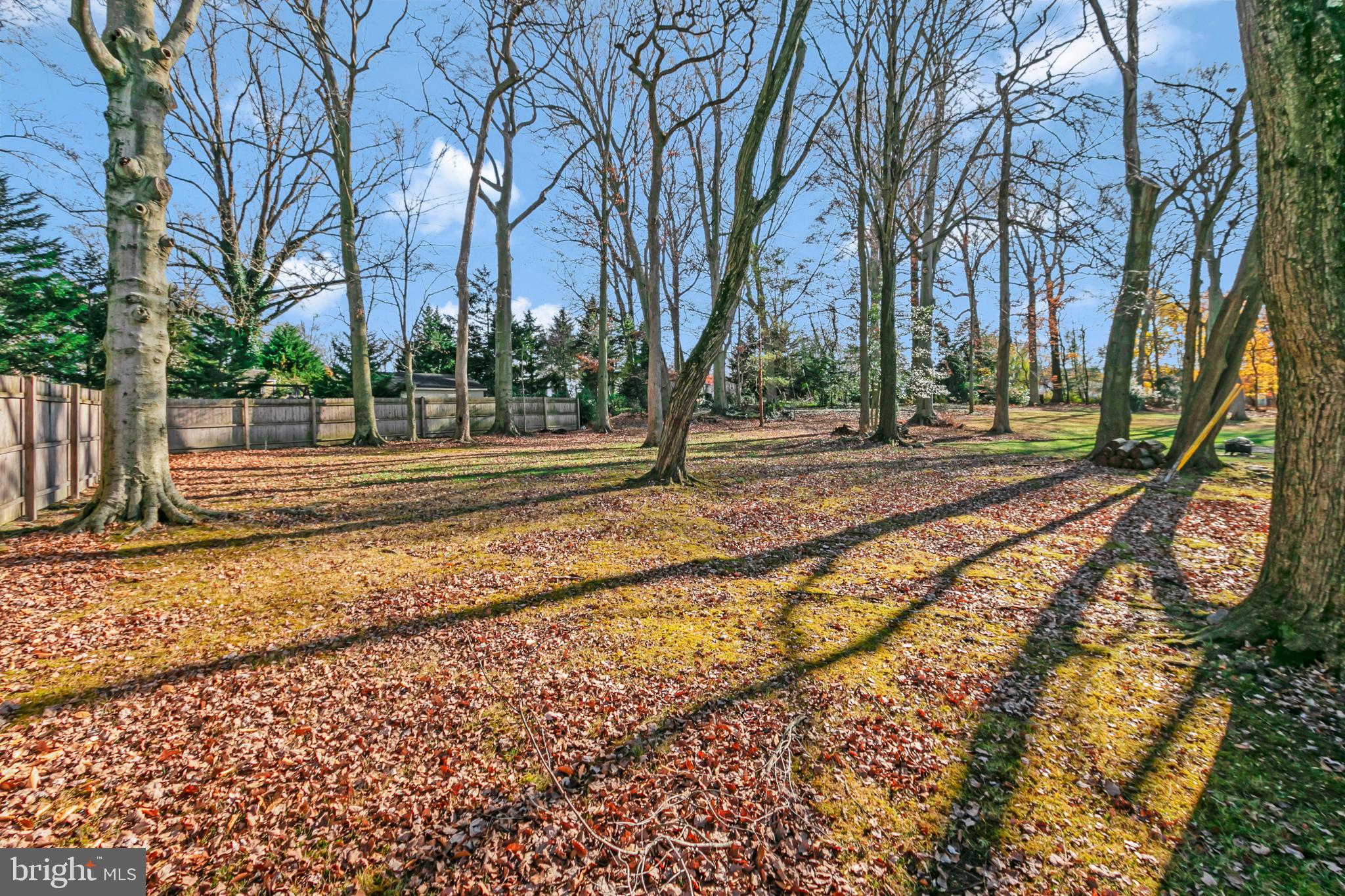 529 Evans Road Springfield, PA 19064 - Photo 2 of 46