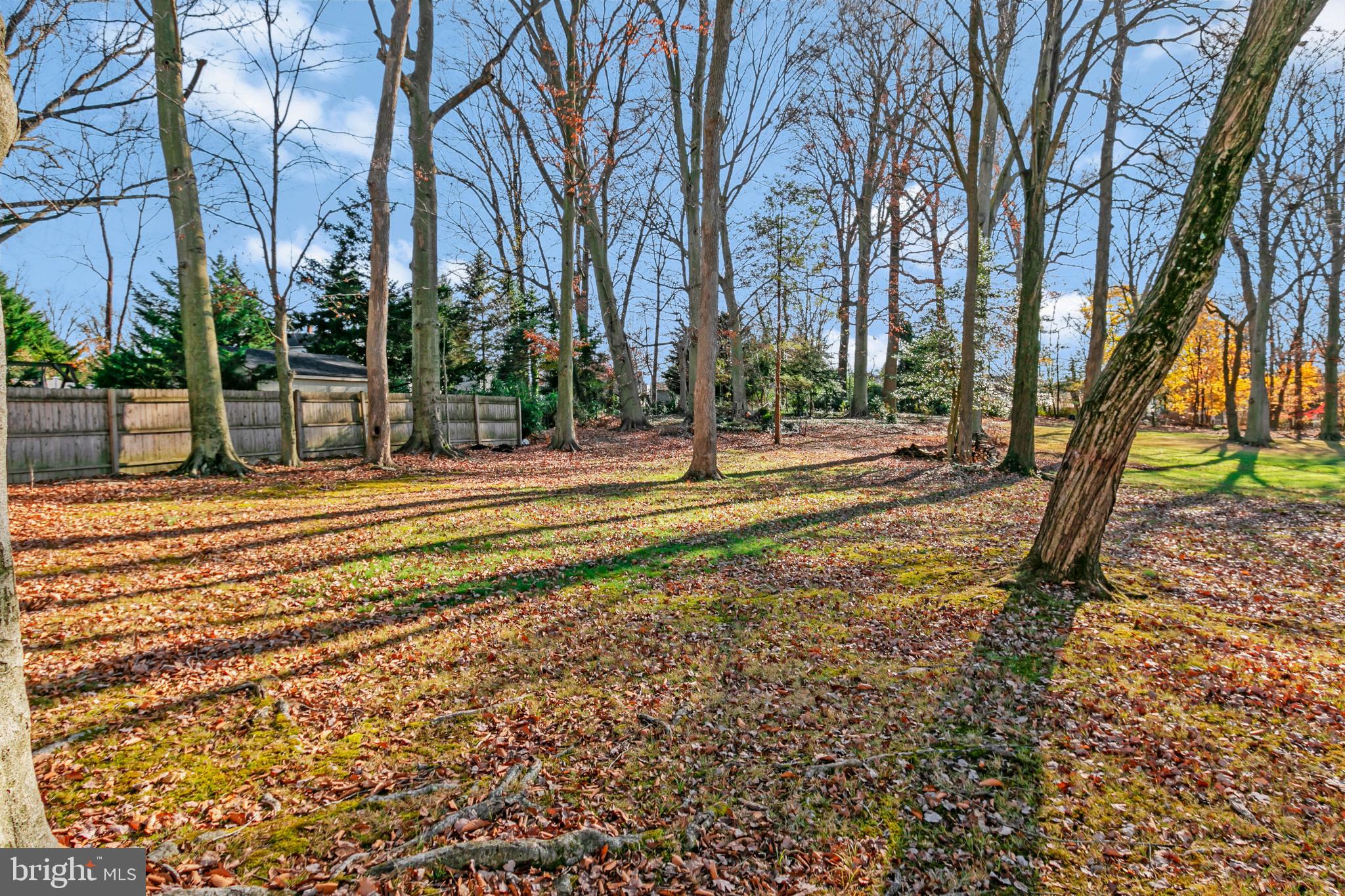 529 Evans Road Springfield, PA 19064 - Photo 45 of 46