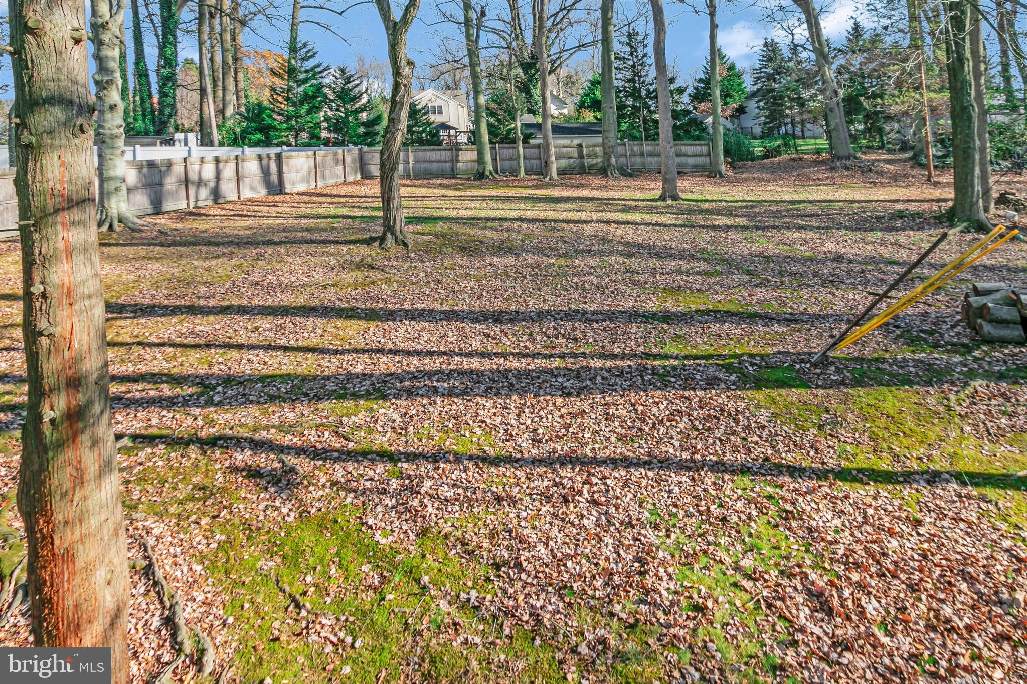 529 Evans Road Springfield, PA 19064 - Photo 46 of 46