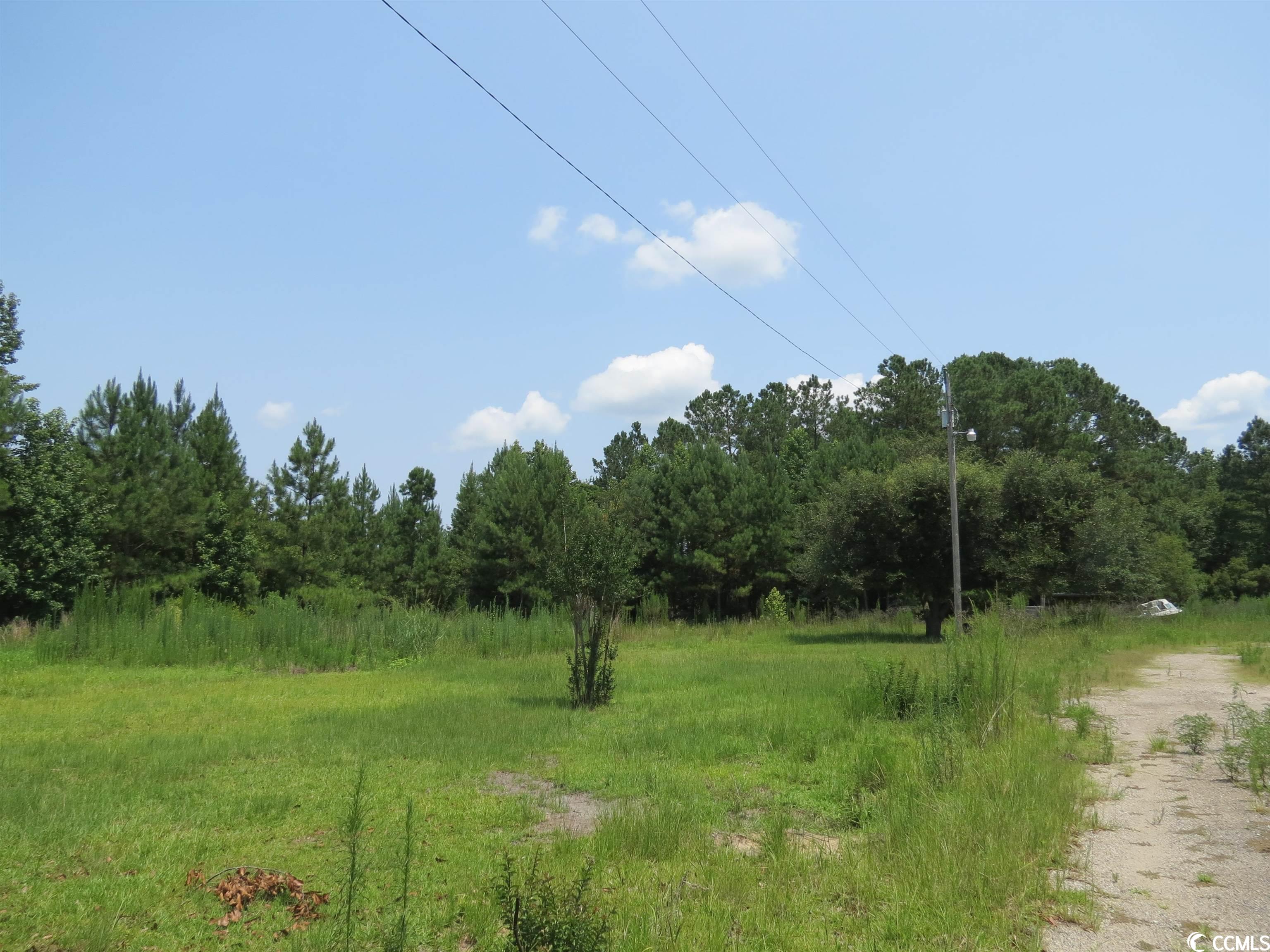 286 Dennis Road Hemingway, SC 29554 - Photo 3 of 4