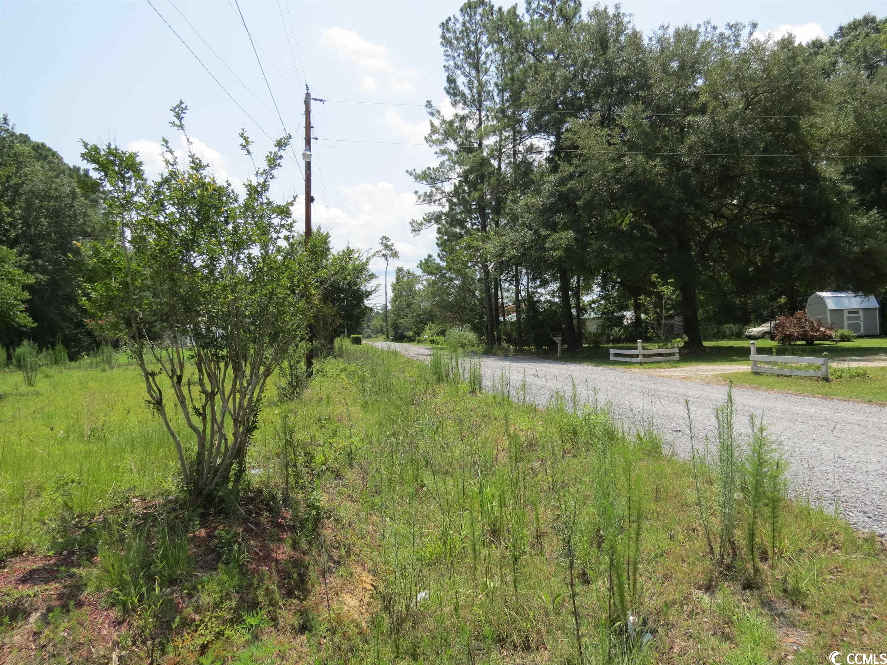 286 Dennis Road Hemingway, SC 29554 - Photo 4 of 4