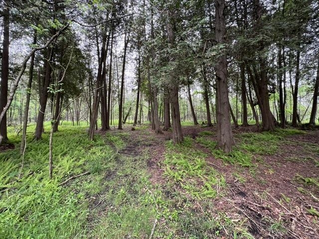 N2050 St Peters Road Kewaunee, WI 54216 - Photo 11 of 27