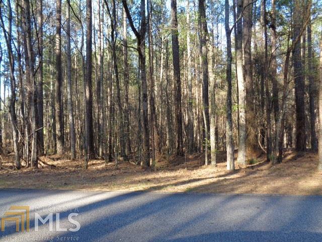 0 Rivertown Road, Unit 2 Fairburn, GA 30213 - Photo 1 of 1