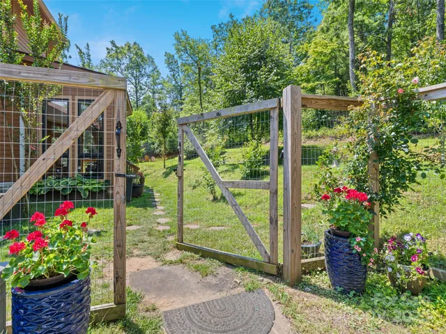 a view of flower garden