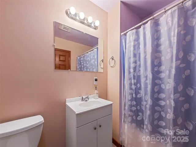 a bathroom with a sink a toilet and shower curtain