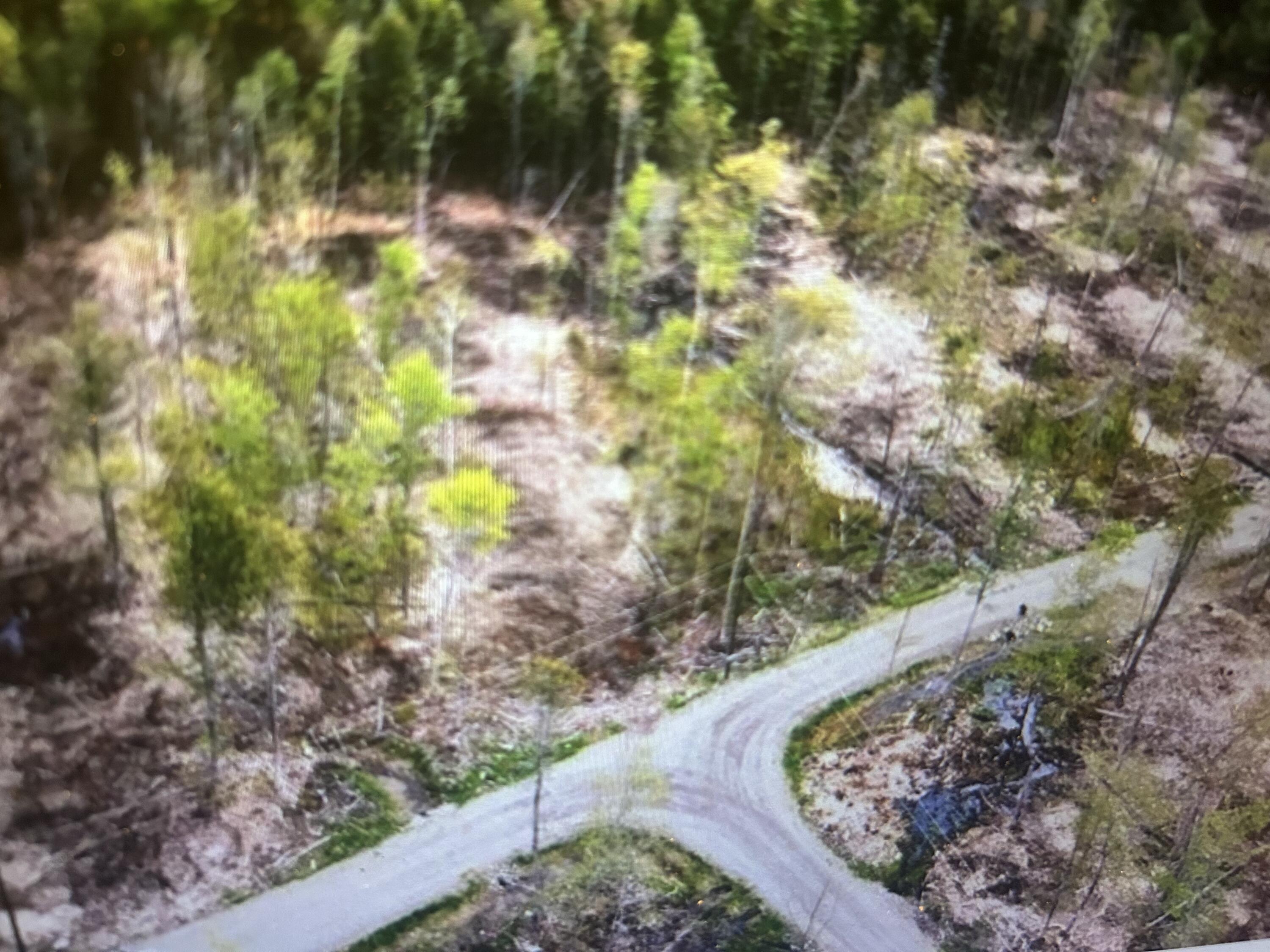 Lot #8 Hammond Brook Road, Unit 8 Monson, ME 04464 - Photo 3 of 6 Aerial