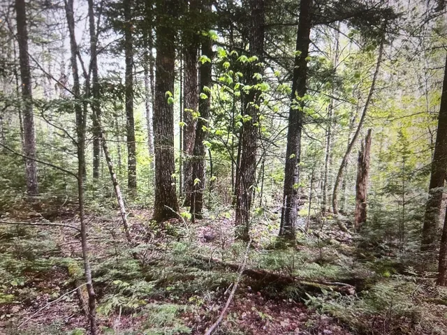 $52,000 | Lot #8 Hammond Brook Road, Unit 8, Monson, ME 04464