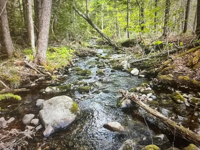 $52,000 | Lot #8 Hammond Brook Road, Unit 8, Monson, ME 04464