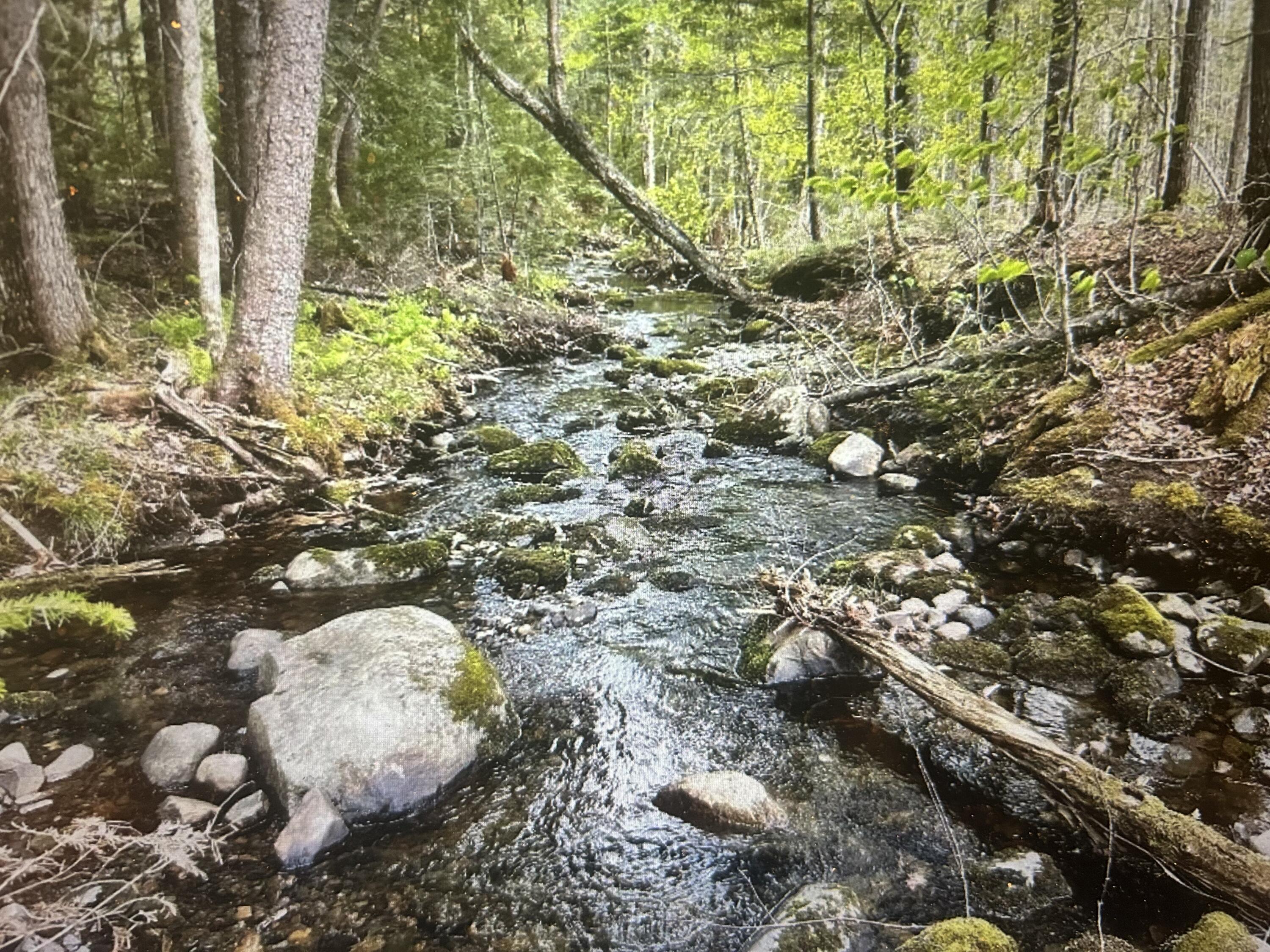 Lot #8 Hammond Brook Road, Unit 8 Monson, ME 04464 - Photo 6 of 6 Hammond Brook