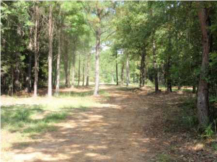 1790 Powell Road Benton, MS 39039 - Photo 1 of 1 Photo 1