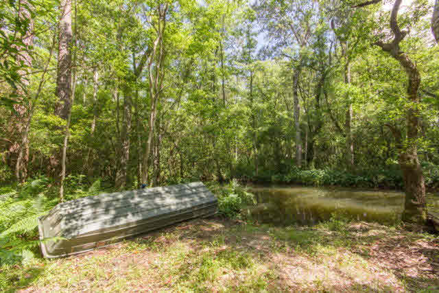 11218 County Road 99 Lillian, AL 36549 - Photo 38 of 41 Bayou