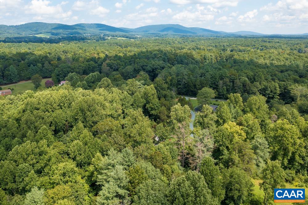 578 Maxfield Road Keswick, VA 22947 - Photo 37 of 39 a view of a lush green forest with trees in the background
