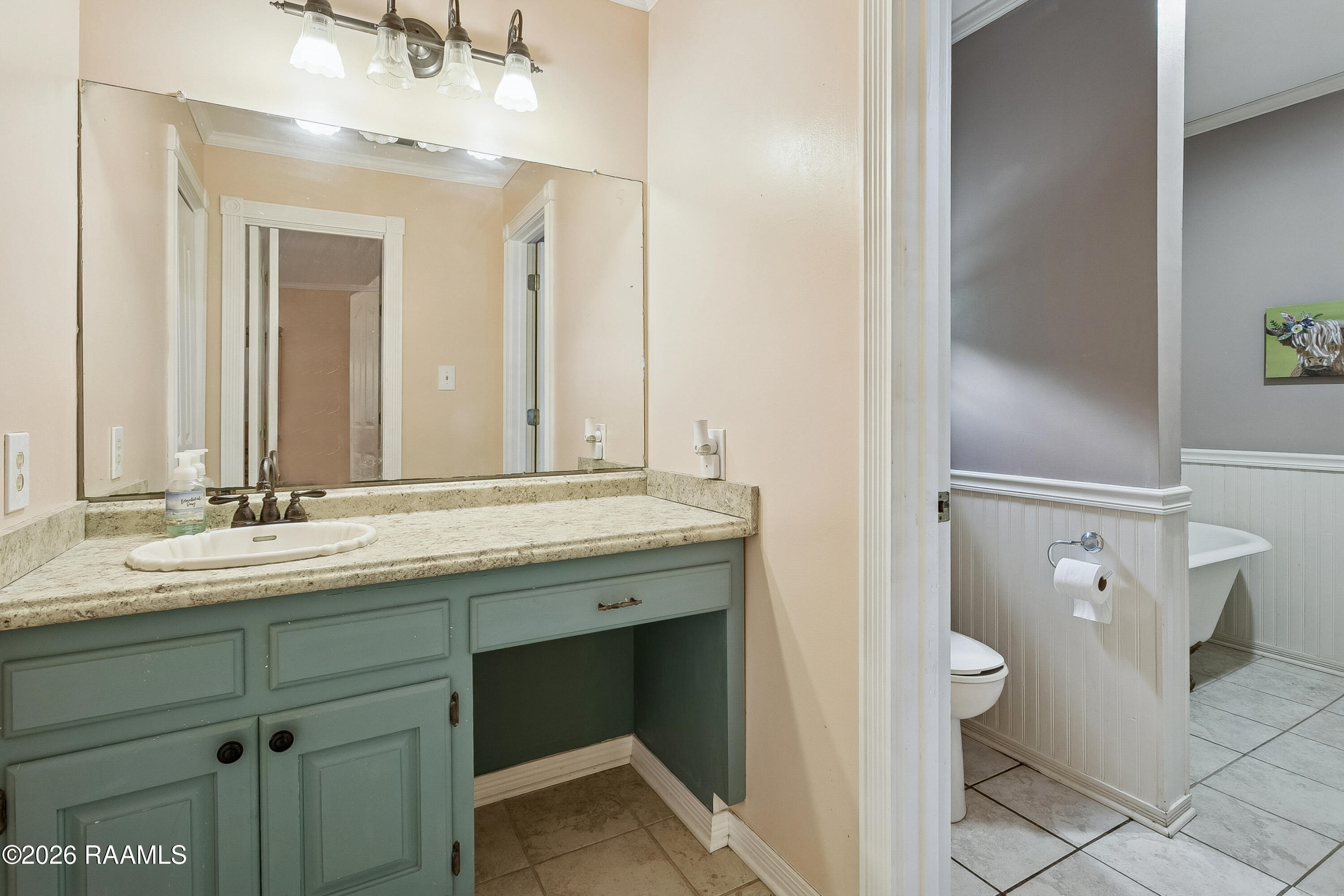 13392 Black Cat Road Tickfaw, LA 70466 - Photo 8 of 30 08