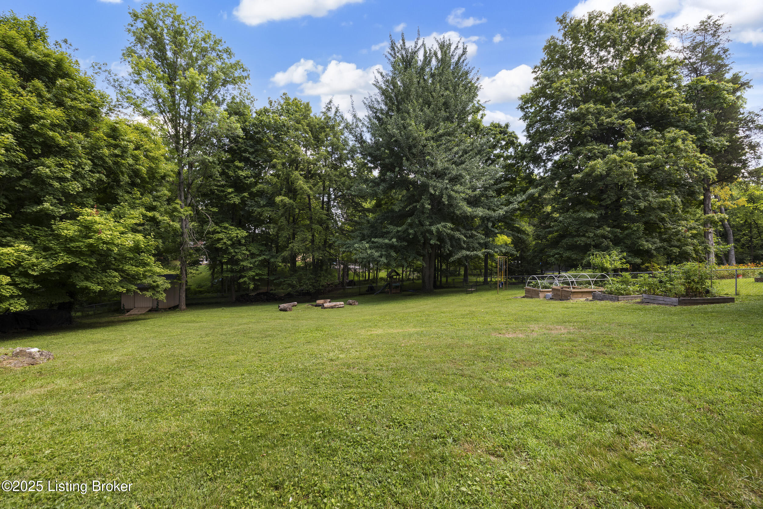 4221 Dolphin Road Louisville, KY 40220 - Photo 47 of 56 Spacious Backyard