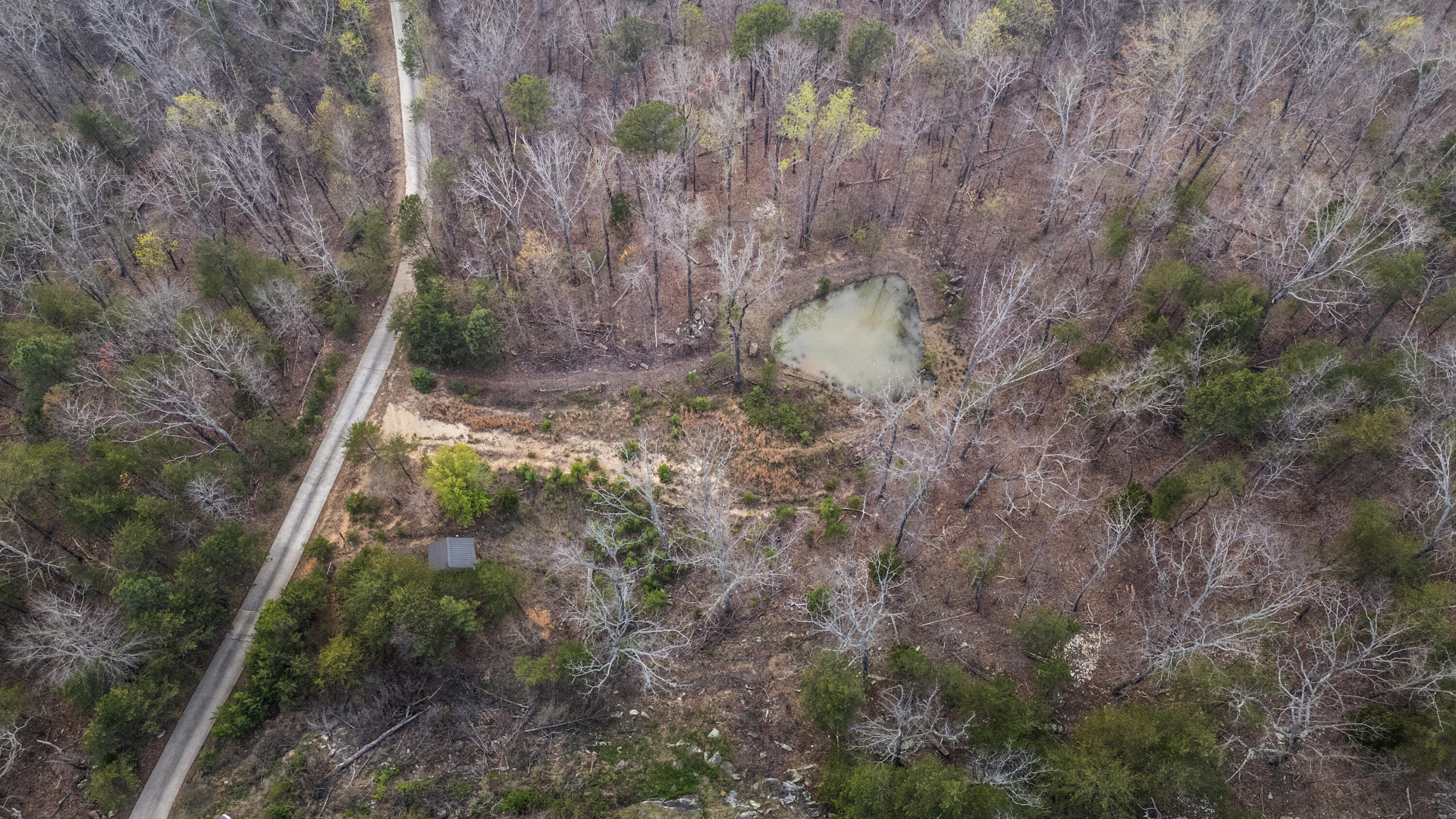 7174 White Oak Valley Road McDonald, TN 37353 - Photo 65 of 83 DJI_20260325190625_0490_D