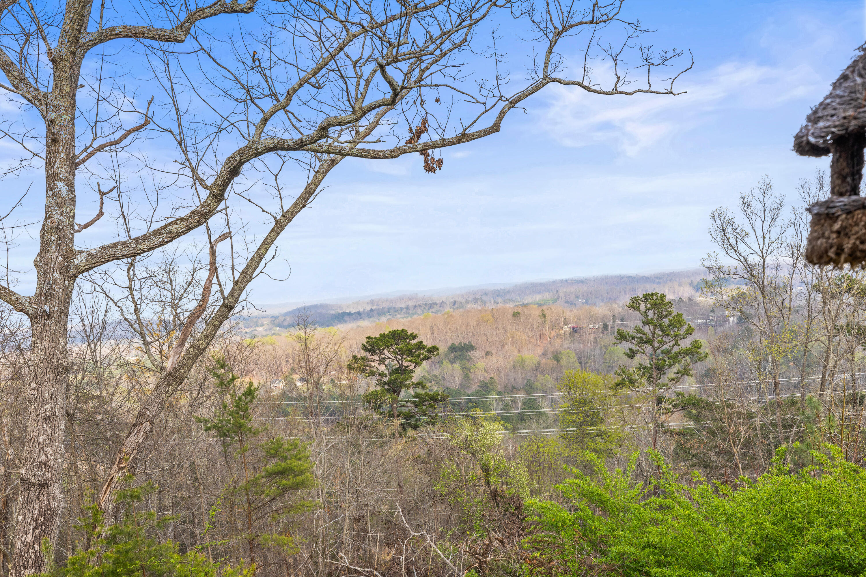 7174 White Oak Valley Road McDonald, TN 37353 - Photo 68 of 83 Back Yard