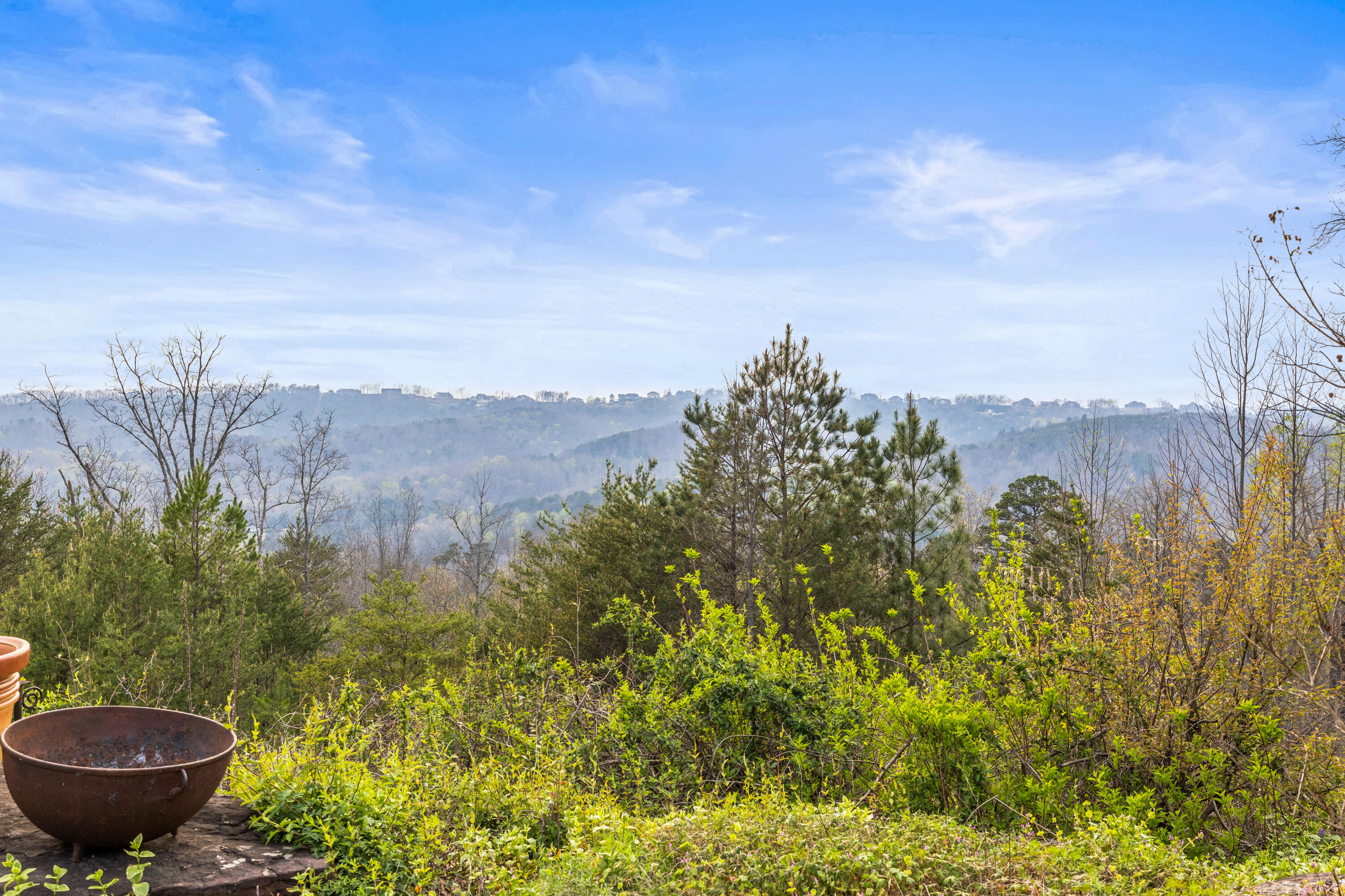 7174 White Oak Valley Road McDonald, TN 37353 - Photo 81 of 83 IMG_0632