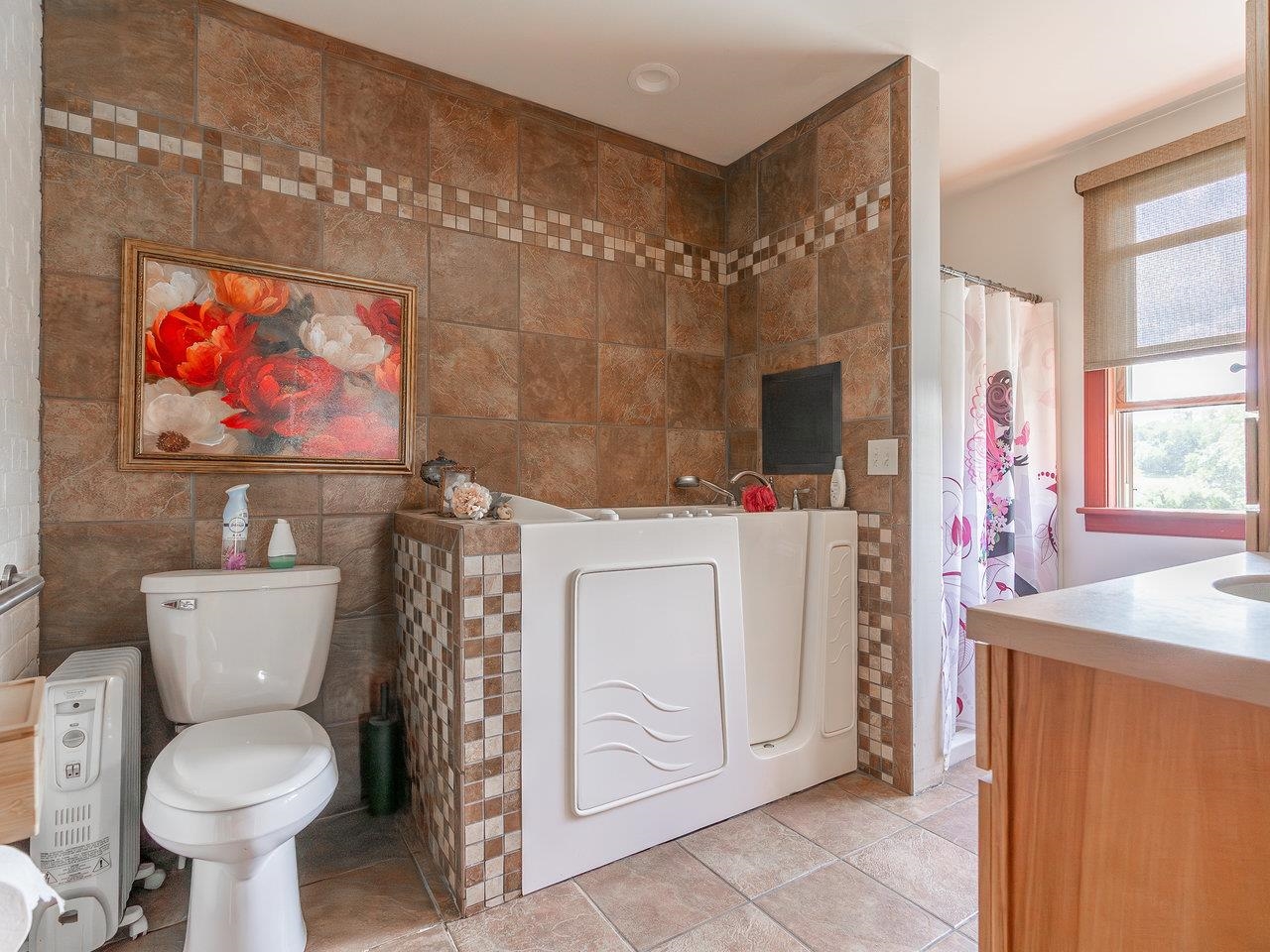 1299 North River Road Mount Crawford, VA 22841 - Photo 29 of 75 a bathroom with a sink a toilet and shower