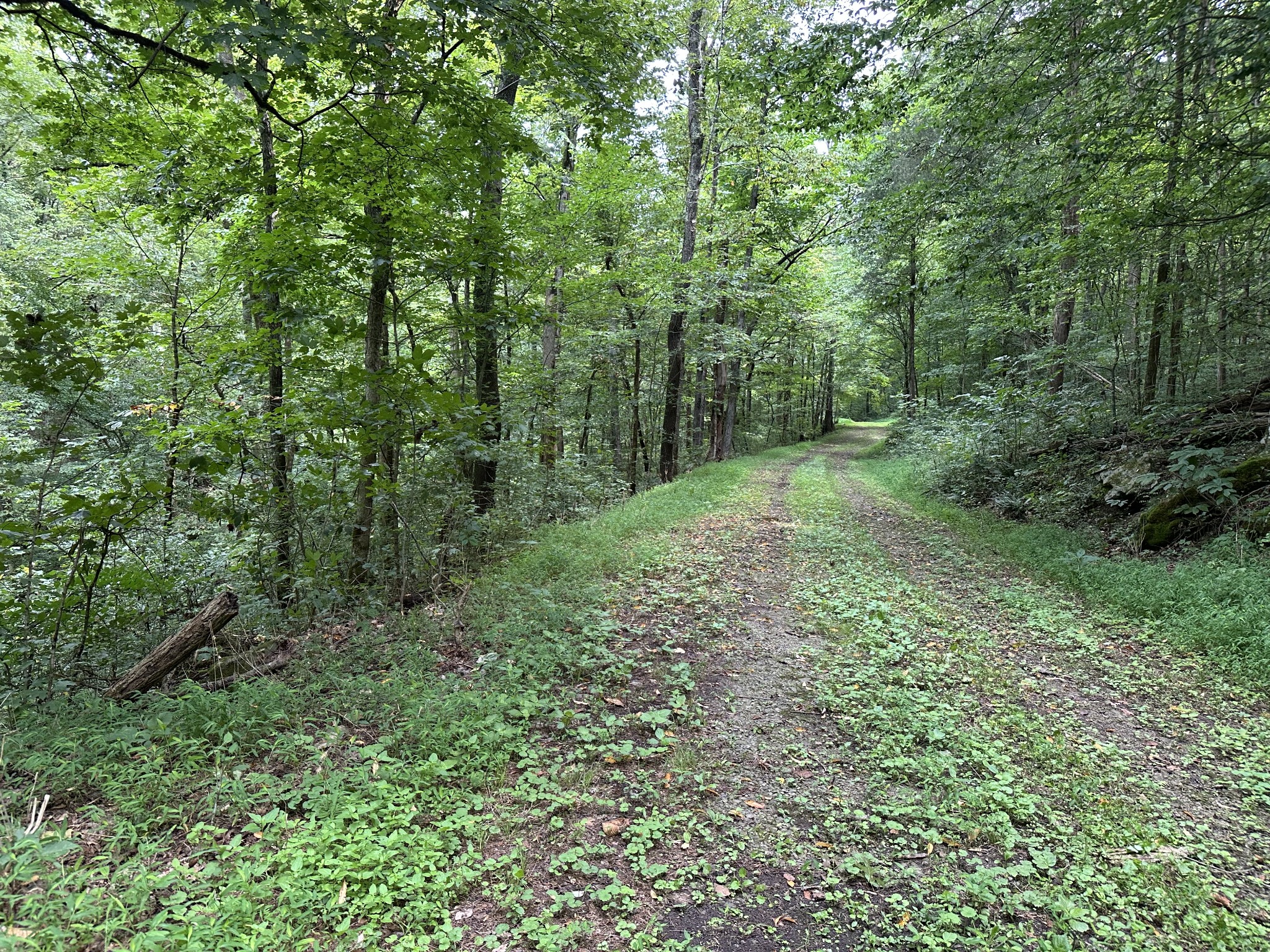 268 Ben Gentry Road Elmwood, TN 38560 - Photo 16 of 36 Gallery Image 16