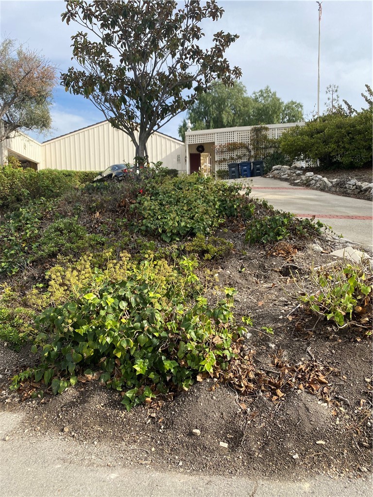 3739 Palos Verdes Drive North Rolling Hills Estates, CA 90274 - Photo 1 of 24 a backyard of a house with lots of green space