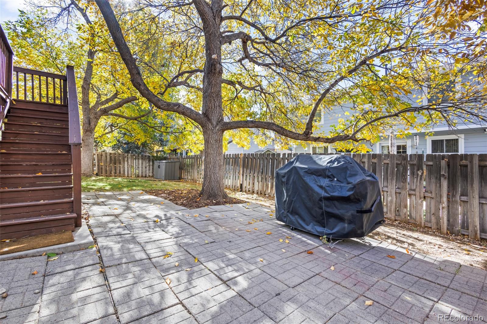 17538 East Baker Place Aurora, CO 80013 - Photo 42 of 50 a view of backyard with tree