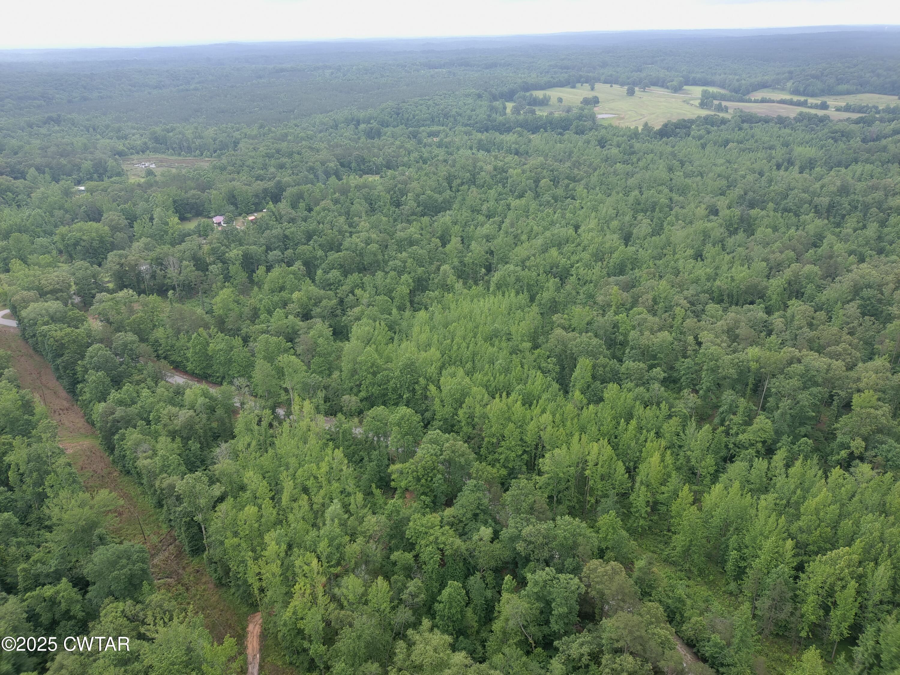 0 Butler (lot 21) Road Pinson, TN 38366 - Photo 3 of 3 a view of a lush green forest with trees and some houses