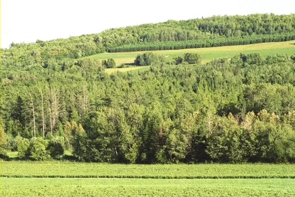 $219,000 | 558 Center Limestone Road, Fort Fairfield, ME 04742